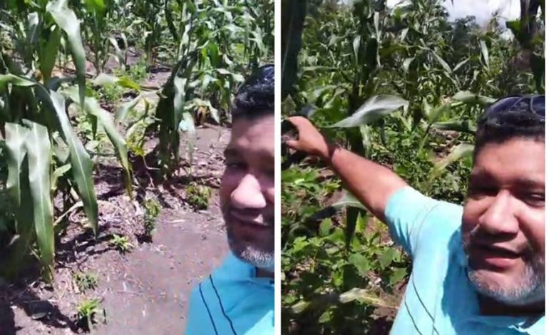 Fernando Gomes destaca parceria com o Governo do Tocantins e celebra colheita do projeto Mesa Farta em Carmolândia